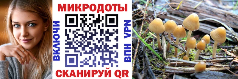 Галлюциногенные грибы мицелий  ОМГ ОМГ ссылки  Нижнеудинск 